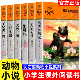 象母怨黑熊舞蹈家王妃黑叶猴五只小狼大鱼之道刀疤豹母 沈石溪动物小说品藏书系 小学生课外阅读书籍青少年版三四五六年级故事书籍
