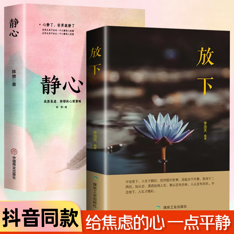 静心书籍正版和放下人生没有什么不可以放下静修心乐观接纳自己爱上生命的不完美我不能放下的一切心理学青春励志畅书籍销书精-封面