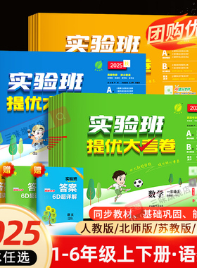 2025秋实验班提优大考卷一二三四五六年级上册下册语文数学英语人教苏教北师大译林教材同步期中末测试卷实验班提优训练