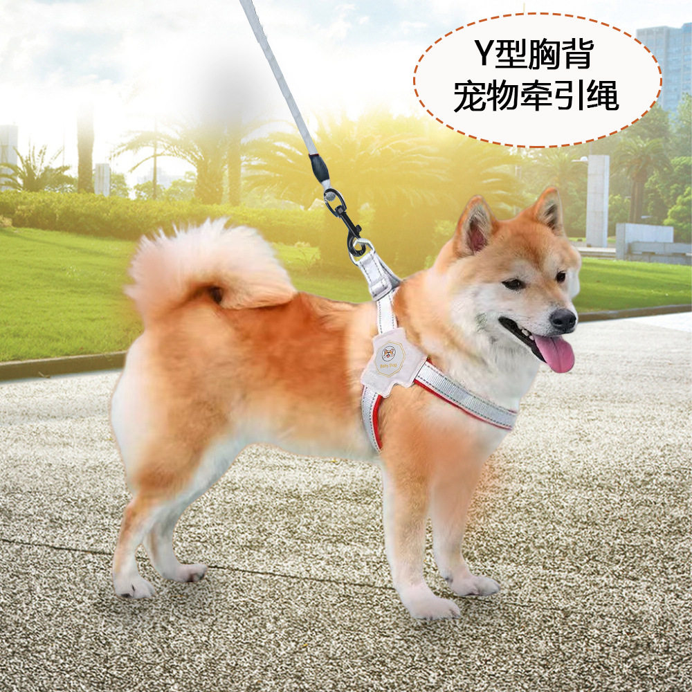 狗狗牵引绳Y型透气背心 夜间反光胸背遛狗绳中型犬柯基外出狗链子