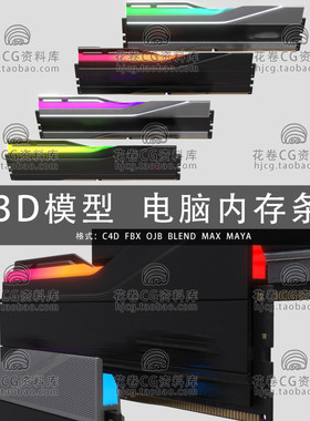 G907-C4D/MAYA/3DMAX 个人电脑主机硬件内存条 3D模型素材