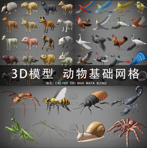 G634-C4D/MAYA/3DMAX三维素材 动物家畜鸟昆虫基础网格3D模型素材