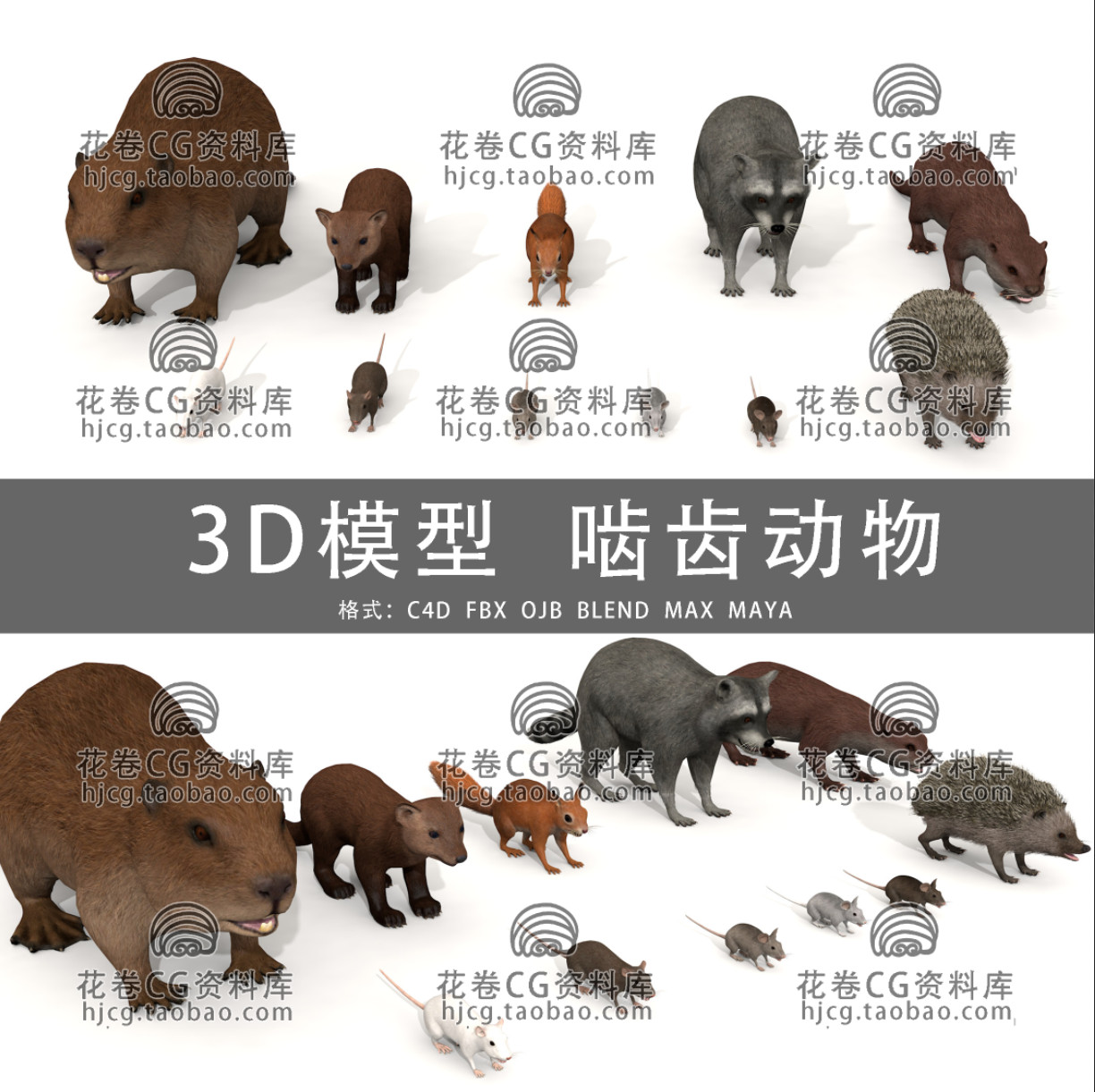 C4D/MAYA/3DMAX三维 啮齿动物老鼠刺猬貂海狸獭 3D模型素材