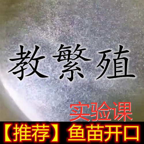 活体开口粮无限繁殖鱼苗草履虫