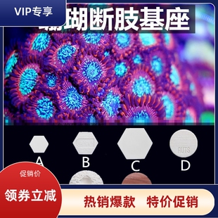 海水珊瑚断枝座LPS纽扣sps断枝繁殖座珊瑚座陶瓷基座分基座六角形