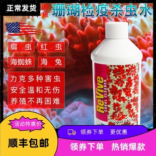 美国两只小鱼珊瑚检疫杀虫水 珊瑚缸检疫水 珊瑚检疫海缸RX检疫水