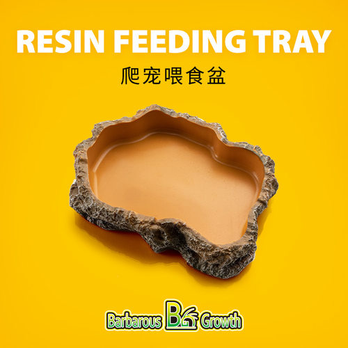 爬宠蜥蜴乌龟守宫角蛙爬虫用品饲养箱投食夜光水碗宠物水盆树脂