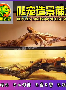 霸王藤木爬宠造景木鬃狮蜥蜴晒台豹纹睫角守宫爬虫箱装饰枯木树枝