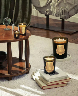 法国Cire Trudun香薰蜡烛270g安神精油助眠香氛CT伴手礼礼物送人