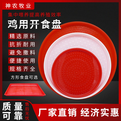 鸡鸭鹅育雏养殖设备鸡苗饲料投喂