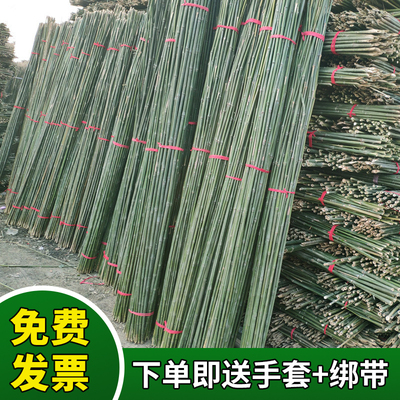 豆角架园艺户外小竹子