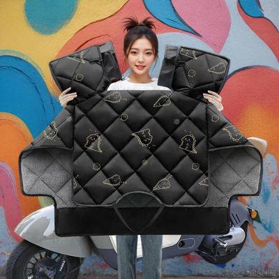 适用极核AE4MaxMY2025电摩挡风被