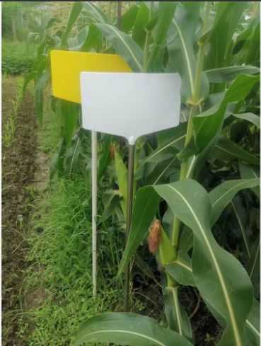 拼接插地牌 特长品种鉴定牌 塑料管/不锈钢管配套30*18/35*22牌面