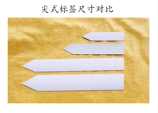 尖式标签 温室盆栽大田试验标识用一字插地牌+T型花卉牌+环套标签