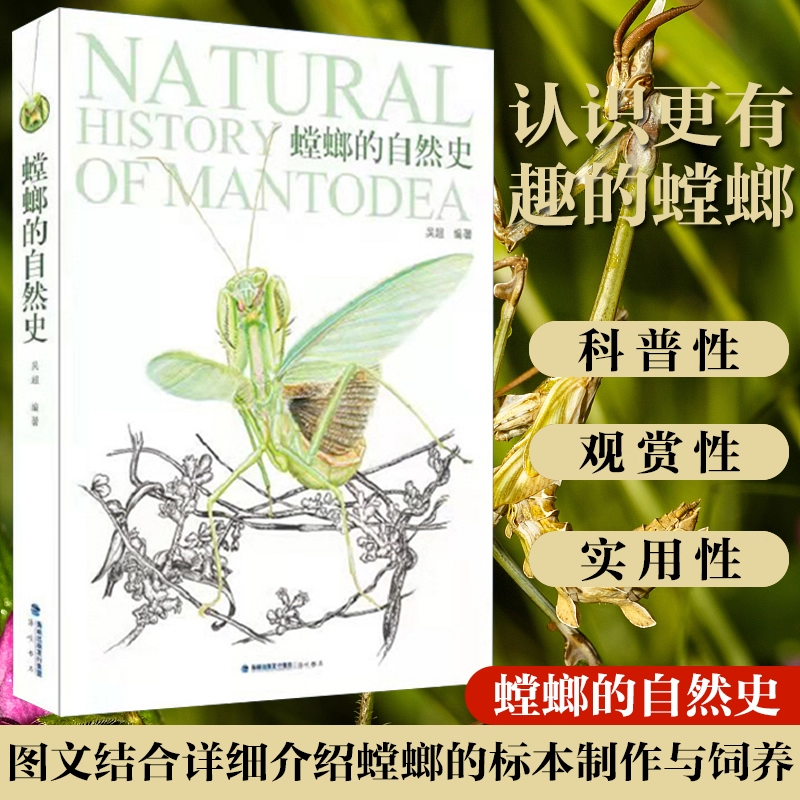 现货正版保证 螳螂的自然史 吴超海峡书局 自然科普昆虫标本 rlyl推荐昆虫图鉴大百科中国昆虫生态大图鉴书籍生物图鉴动物百科全书