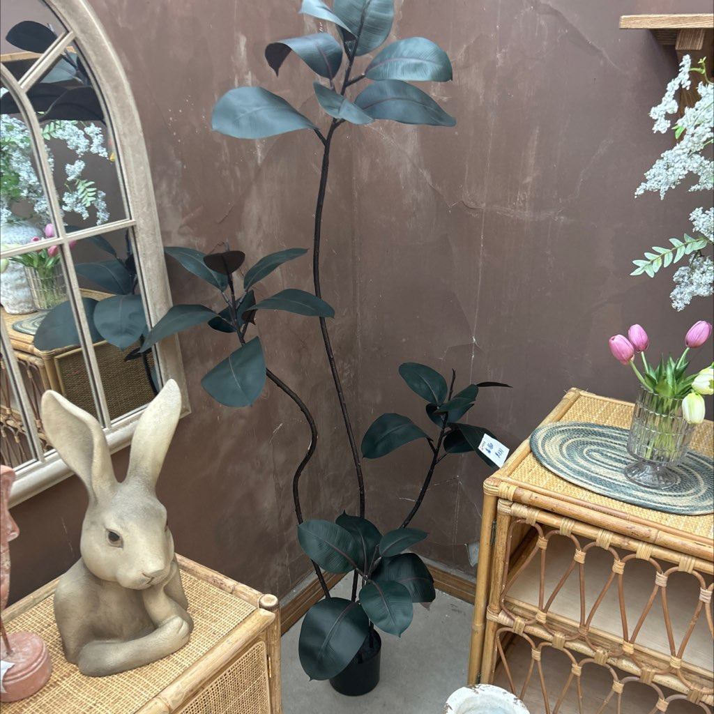 一口价样品1.6米已塑形,鲜花速递/花卉仿真/绿植园艺,花架,淘宝优惠券,粉丝福利购,淘宝优惠卷