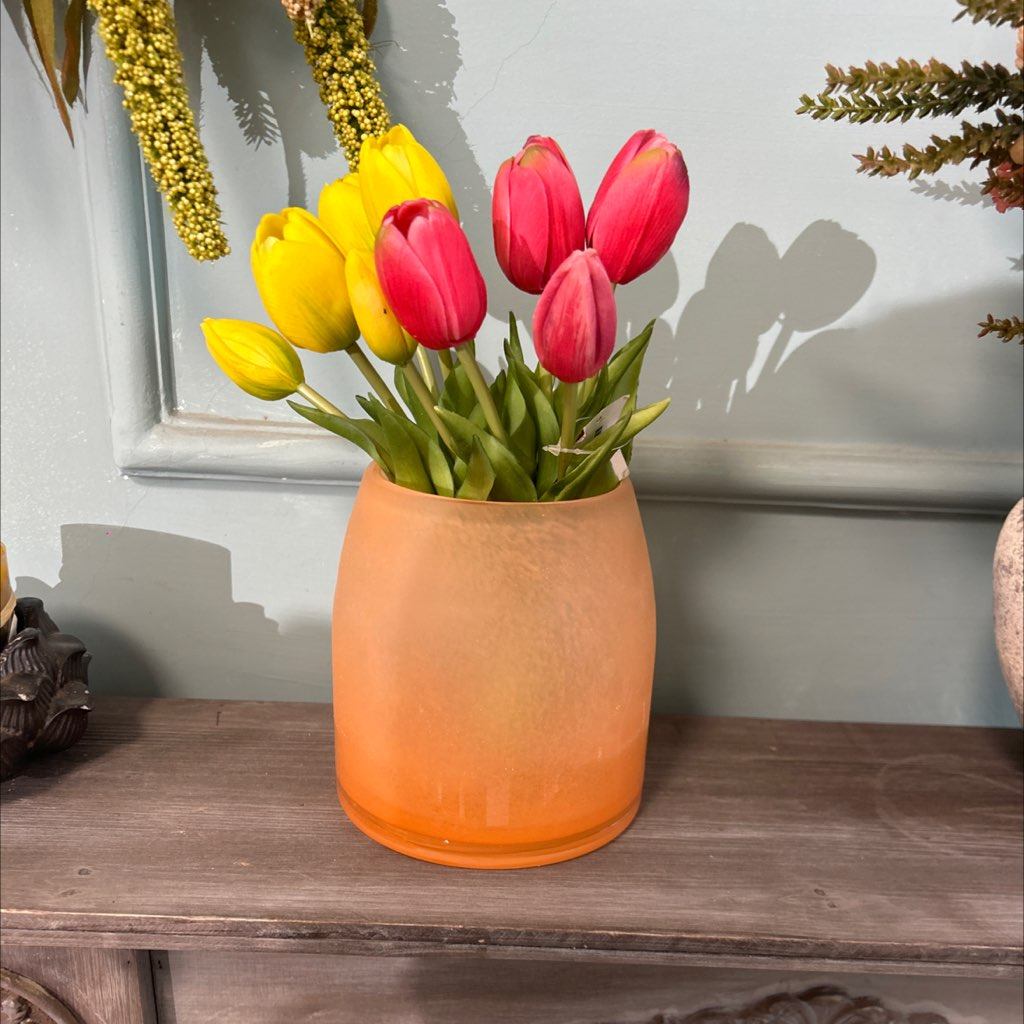 一口价样品一套两把郁金香加瓶高14口9,鲜花速递/花卉仿真/绿植园艺,花架,淘宝优惠券,粉丝福利购,淘宝优惠卷