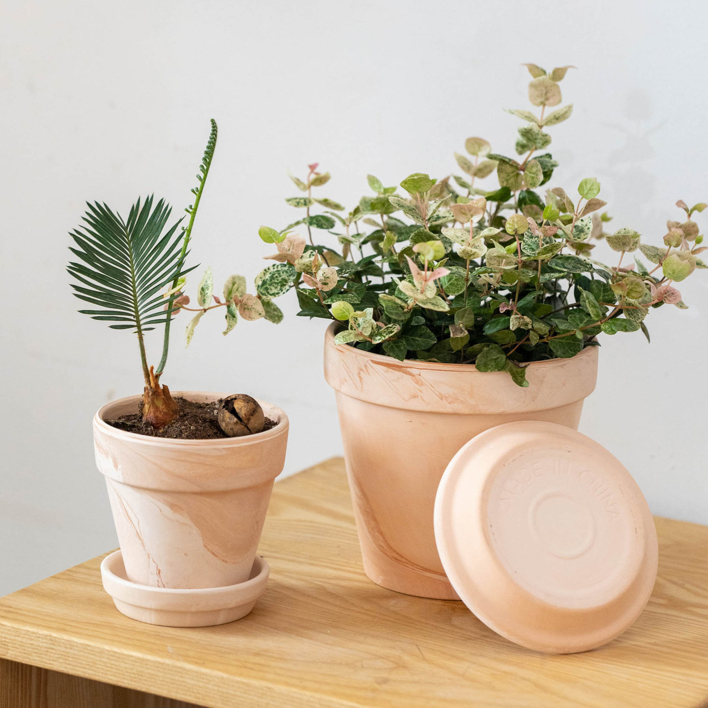 红陶花盆多肉兰花盆粗陶瓷土轻奢高级感家用透气育苗种植盆栽盆子,家居饰品,花盆,淘宝优惠券,粉丝福利购,淘宝优惠卷