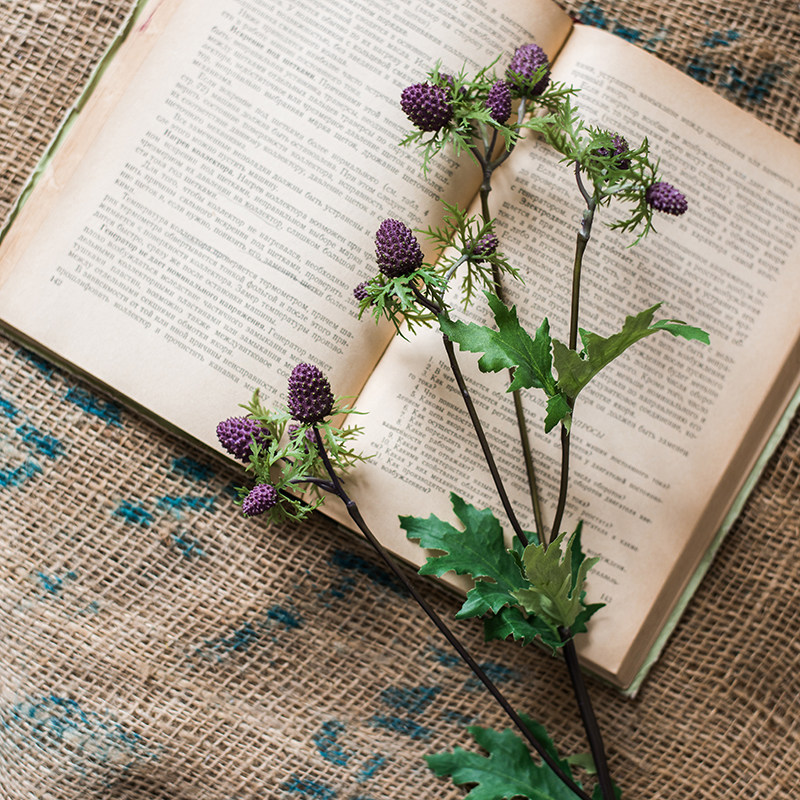 Skim Han Forest Berry manual Artificial Plants fruit Fruit Flower art suit desktop Place decorate Sen familyin the Home accessories , Vase/Flower/Artificial flowers/Imitation jewelry , Artificial flowers/Artificial flower  category - from Buy2taobao.com to provide professional Taobao agent buy service