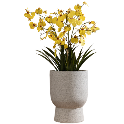 掬涵镁泥北欧轻奢简约酒杯形状