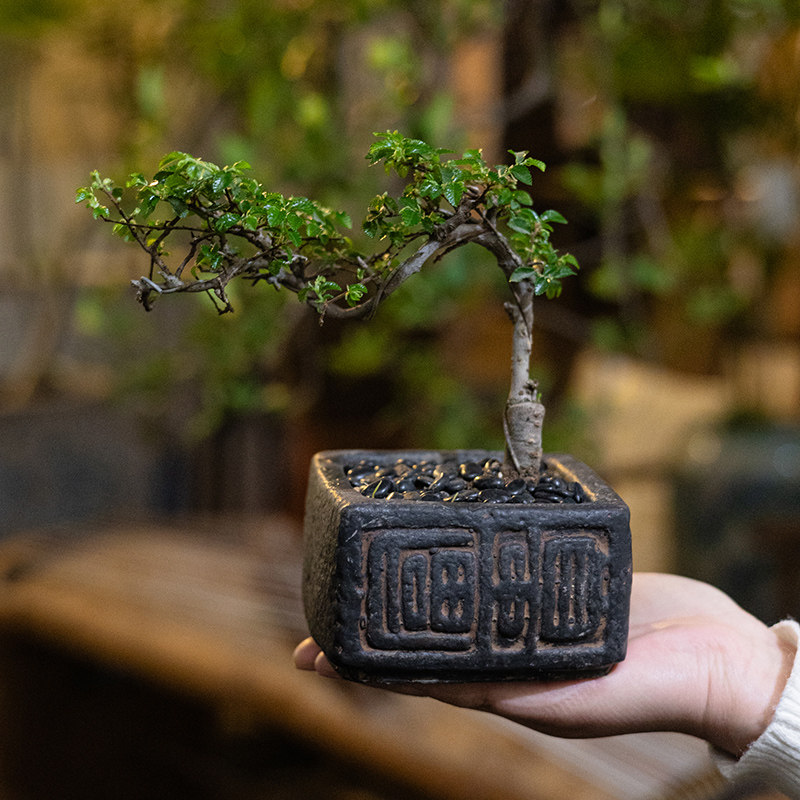 掬涵中式古花盆插花桌面装饰摆件