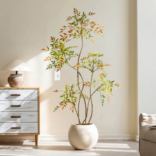 掬涵彩色南天竹仿真绿植室内客厅假树大型仿生植物造景盆栽摆件