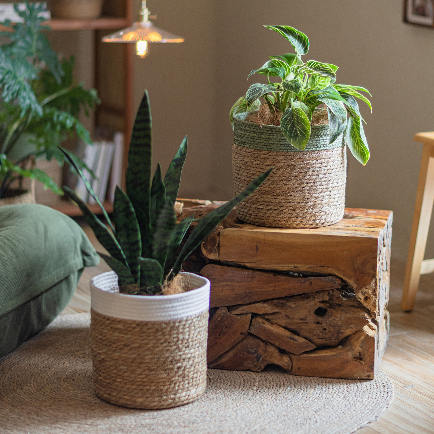 收纳筐子草编藤编编织篮子