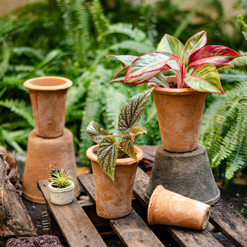 红陶花盆陶土瓦盆粗陶透气大口径多肉陶瓷绿植兰花盆清仓特价包邮