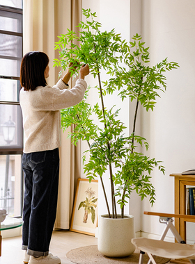 掬涵南天竹彷真绿色植物室内大型彷生植物客厅轻奢装饰假树盆景摆