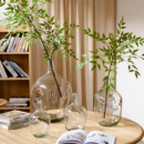 花瓶摆件客厅插花透明轻奢高级感大肚玻璃瓶水培吊钟马醉木花器