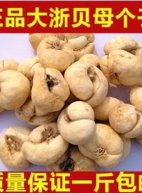中药材 浙贝母 浙贝无硫新货 大贝母个野生 象贝 500克 包邮