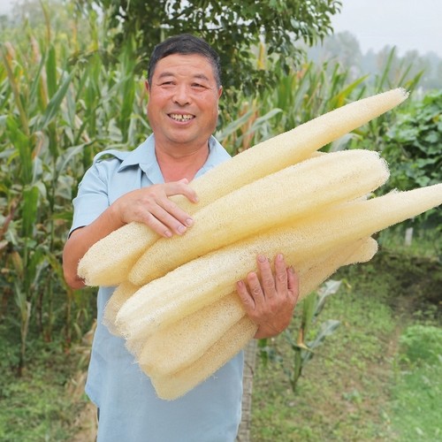 洗碗布搓澡天然丝瓜络