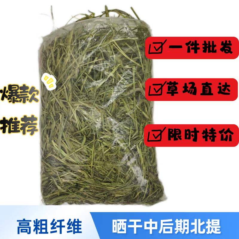 晒干提摩西草兔子龙猫宠物荷兰猪
