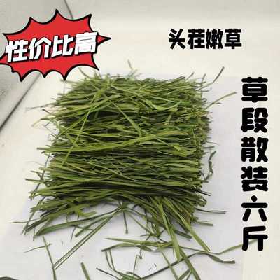 岷县北提莜草源性价比高兔兔龙猫