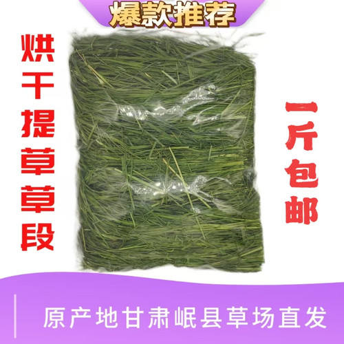莜草源提摩西草兔龙猫豚鼠宠物草