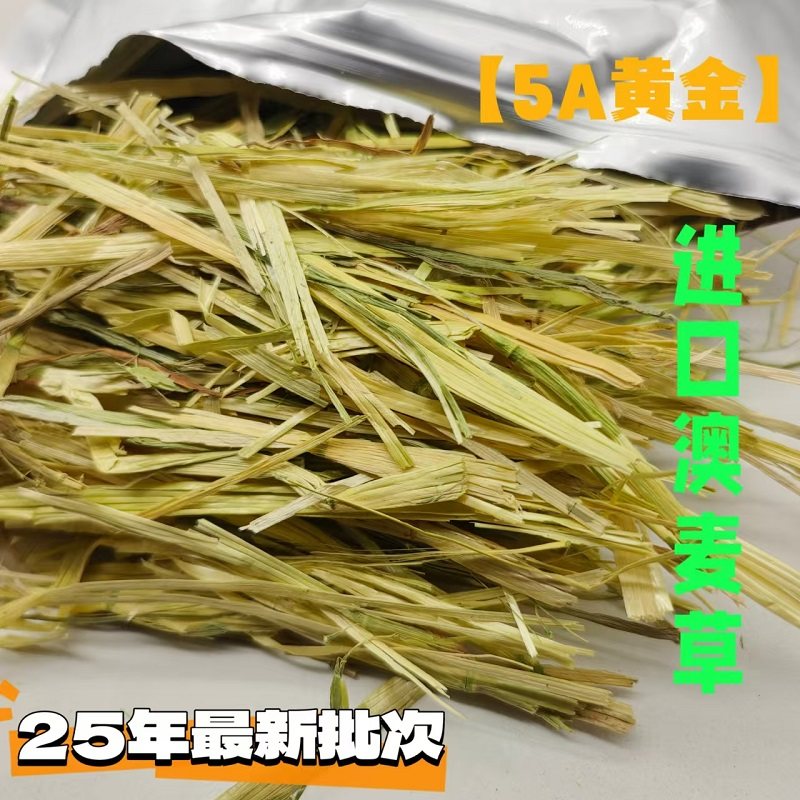 莜草源手挑5A澳麦草澳州黄金燕麦草干草兔子龙猫荷兰猪草真空铝袋