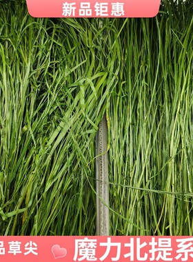 25精选烘干草尖多叶北提兔兔龙猫荷兰猪兔子豚鼠主草一箱毛重包邮