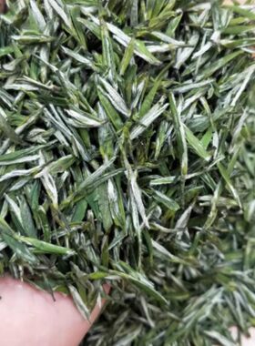 明前春茶2026保康新茶雨花茶500g