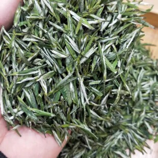 2026新茶保康明前新茶银尖芽毛尖青茶高山银剑500g春茶雨花茶