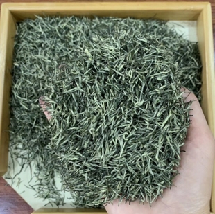 2025新茶浓香保康绿茶高山云雾明前春茶芽毛尖炒青茶叶500g