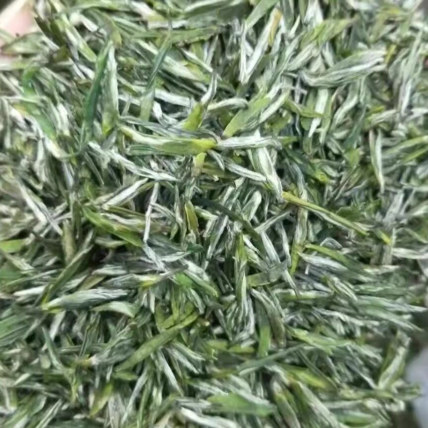 2026头采保康新茶毛尖雨花茶250g