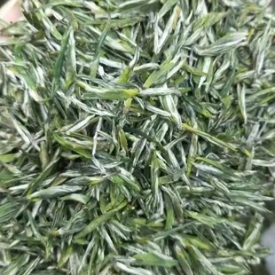2026新茶保康银剑毛尖明前春茶高山云雾雨花茶玉露芽毛尖250g绿茶