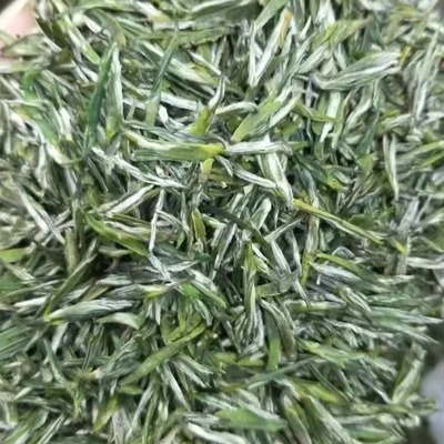 2026头采保康新茶毛尖雨花茶250g