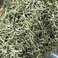 2025新茶芽毛尖高山炒青保康绿茶明前春茶保康毛尖类春茶500g