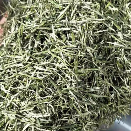 2026新茶保康绿茶明前毛尖500g