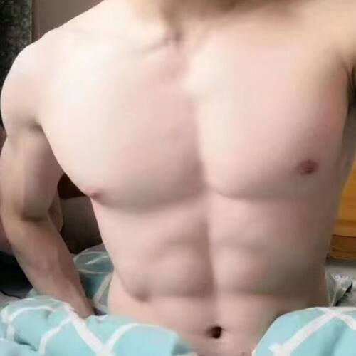 2026新款男士内裤纯棉抗菌裆透气舒适运动平角裤衩男款四角短裤头