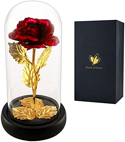 valentines rose gifts beauty and the beast rose  love flower