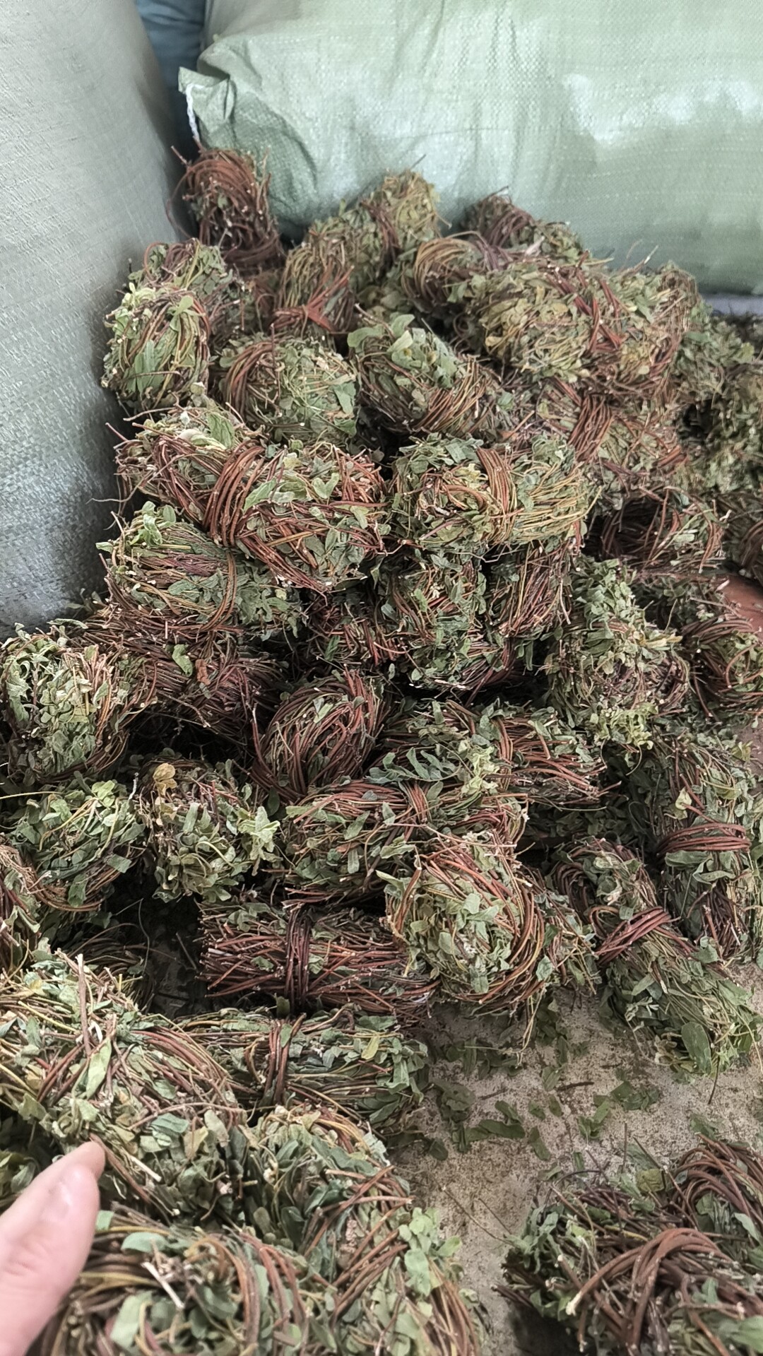 野生鸡骨草鸡骨草叶干货中草药中药材泡茶煲汤料新鲜无硫