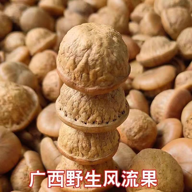 新货风流果选果天竺粒广西特级果厚鳞柯500g泡酒壮家阴阳果