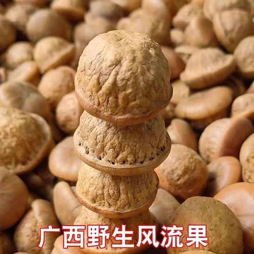 新货风流果选果天竺粒广西特级果厚鳞柯500g泡酒壮家阴阳果